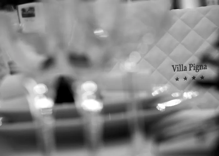 Pigna 4*
